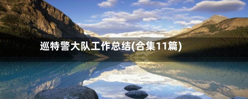 巡特警大队工作总结(合集11篇)