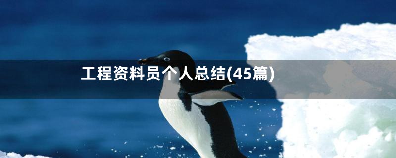 工程资料员个人总结(45篇)