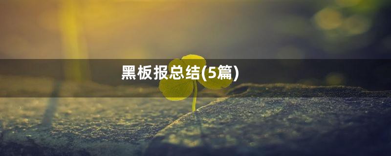 黑板报总结(5篇)