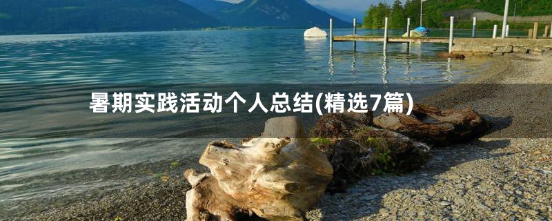 暑期实践活动个人总结(精选7篇)