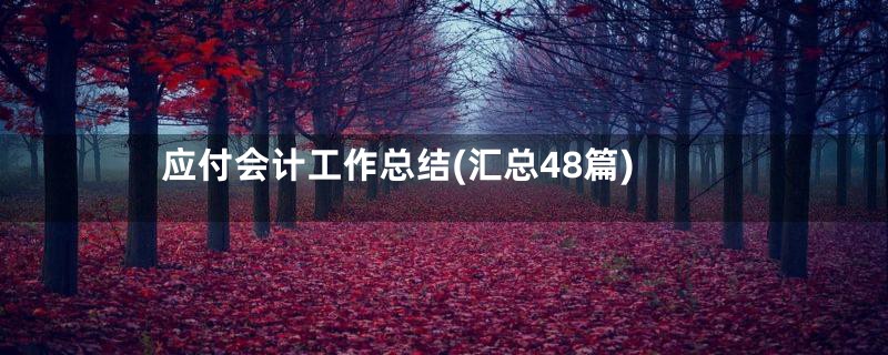 应付会计工作总结(汇总48篇)