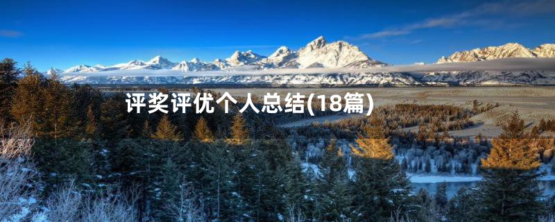 评奖评优个人总结(18篇)