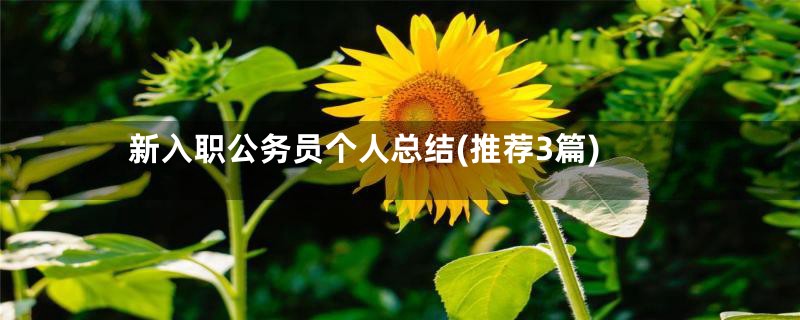 新入职公务员个人总结(推荐3篇)
