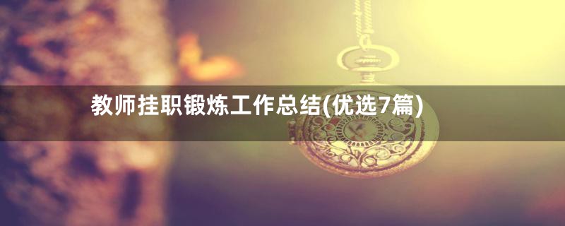 教师挂职锻炼工作总结(优选7篇)