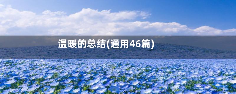 温暖的总结(通用46篇)