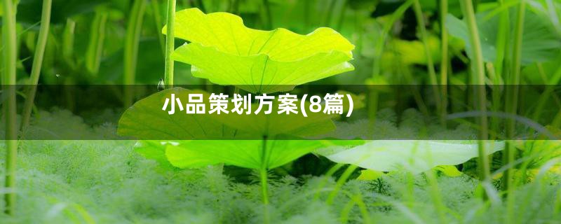 小品策划方案(8篇)