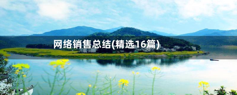 网络销售总结(精选16篇)