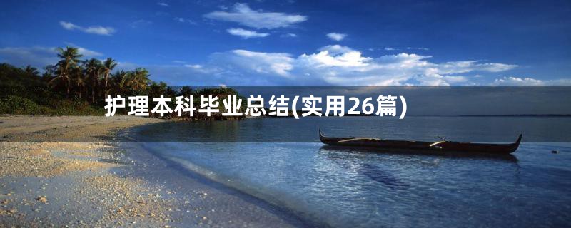 护理本科毕业总结(实用26篇)