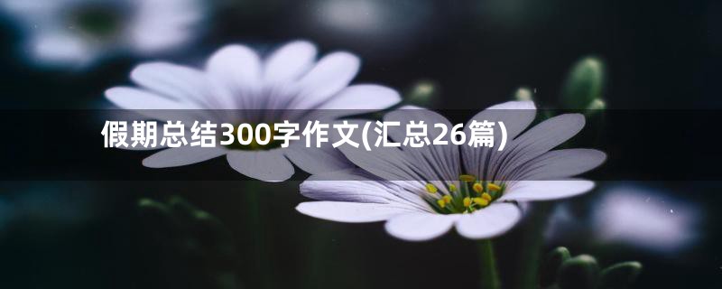 假期总结300字作文(汇总26篇)