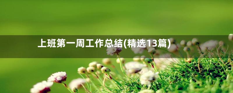 上班第一周工作总结(精选13篇)