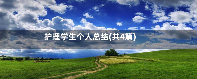 护理学生个人总结(共4篇)