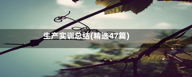 生产实训总结(精选47篇)