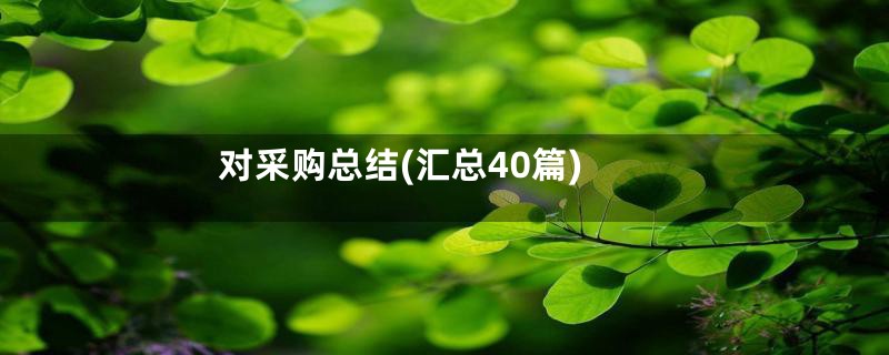 对采购总结(汇总40篇)