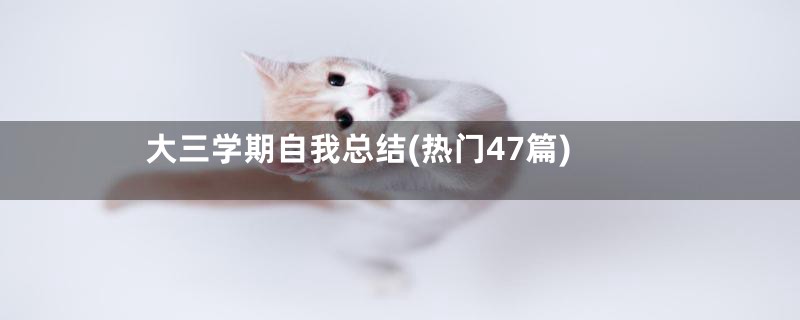 大三学期自我总结(热门47篇)