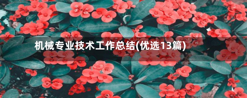 机械专业技术工作总结(优选13篇)