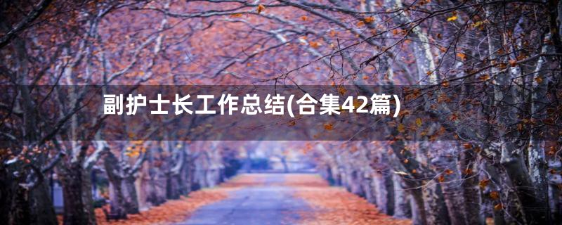 副护士长工作总结(合集42篇)