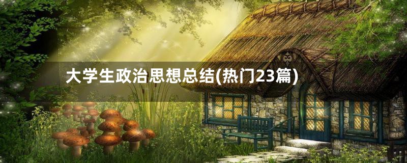 大学生政治思想总结(热门23篇)