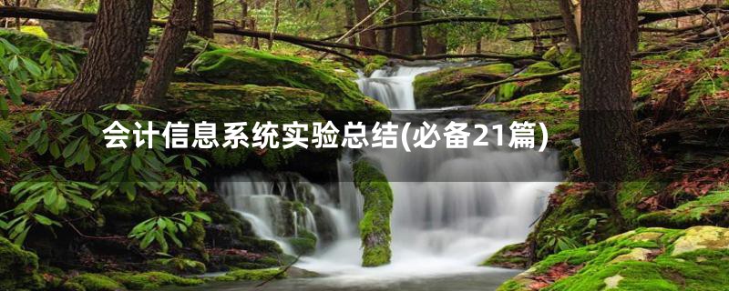 会计信息系统实验总结(必备21篇)