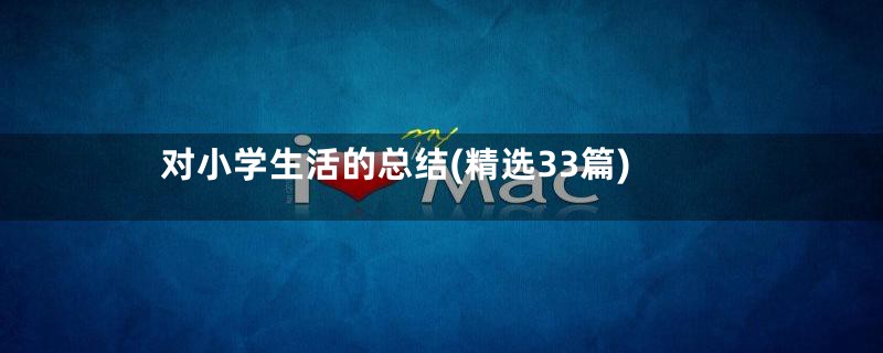 对小学生活的总结(精选33篇)