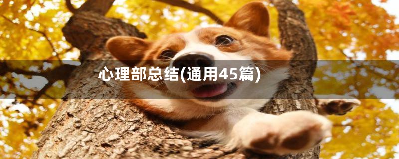 心理部总结(通用45篇)