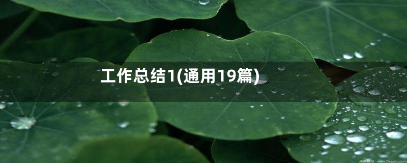 工作总结1(通用19篇)