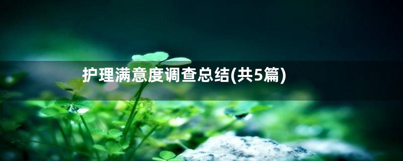 护理满意度调查总结(共5篇)