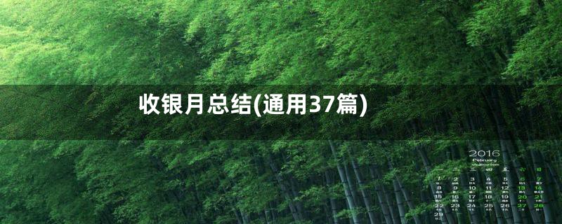 收银月总结(通用37篇)