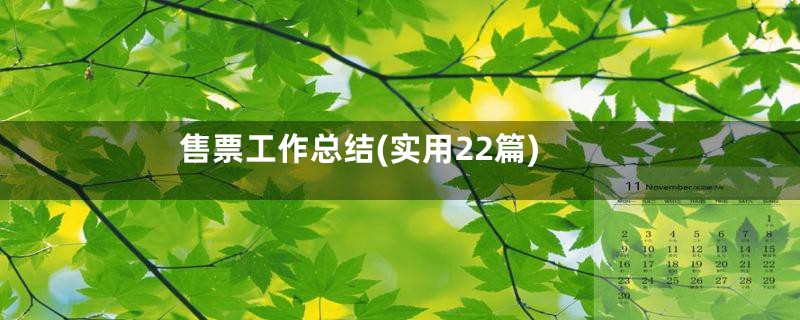 售票工作总结(实用22篇)