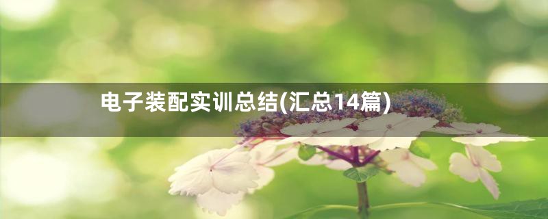 电子装配实训总结(汇总14篇)