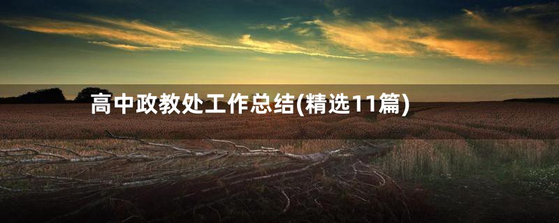 高中政教处工作总结(精选11篇)