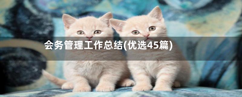 会务管理工作总结(优选45篇)