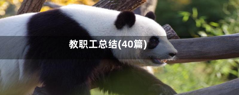教职工总结(40篇)