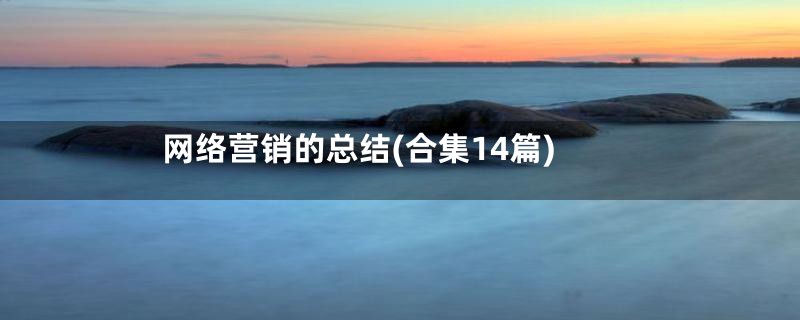 网络营销的总结(合集14篇)