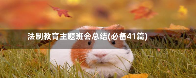 法制教育主题班会总结(必备41篇)
