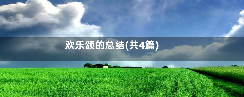 欢乐颂的总结(共4篇)