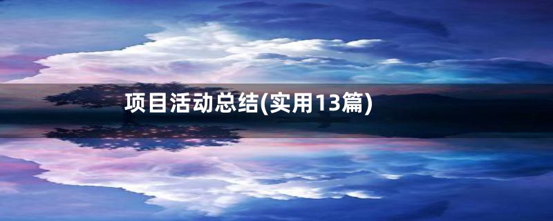 项目活动总结(实用13篇)