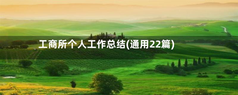 工商所个人工作总结(通用22篇)