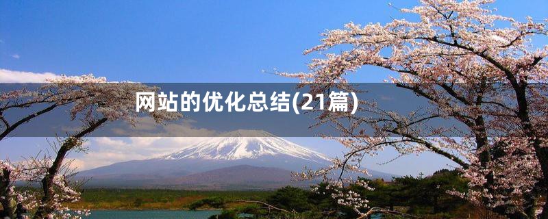 网站的优化总结(21篇)
