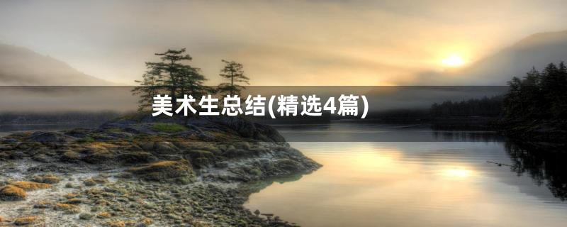 美术生总结(精选4篇)