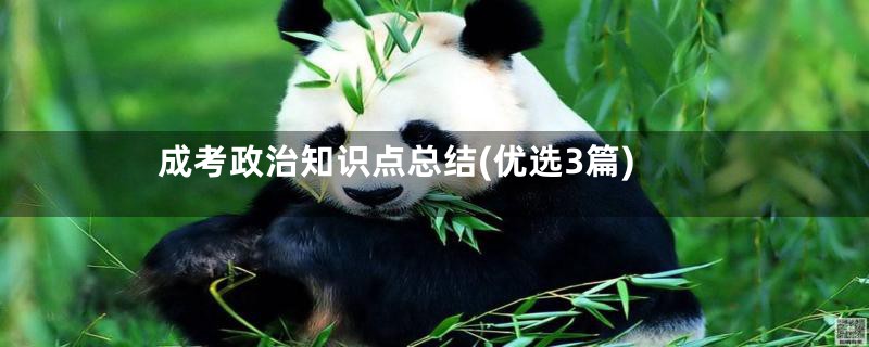 成考政治知识点总结(优选3篇)