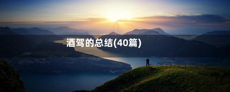酒驾的总结(40篇)