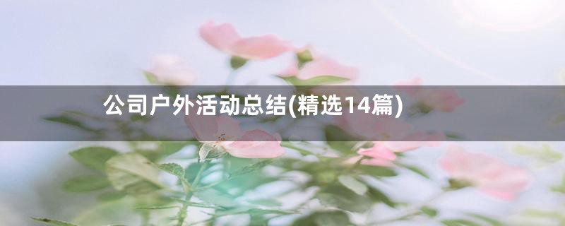 公司户外活动总结(精选14篇)