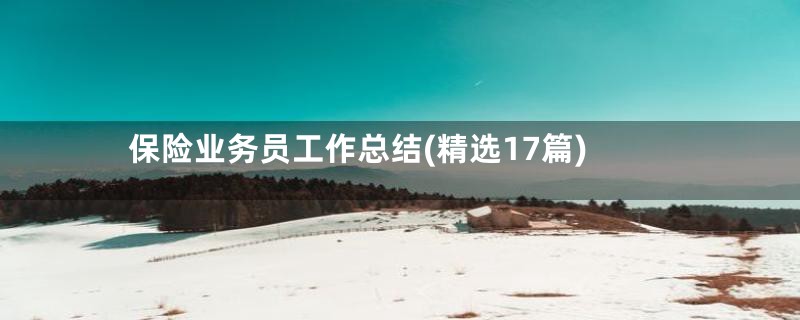 保险业务员工作总结(精选17篇)