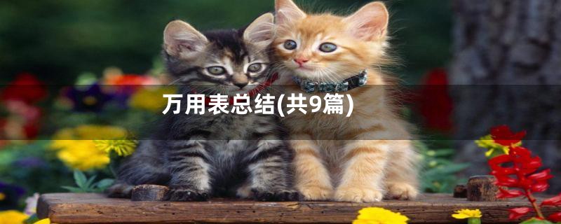 万用表总结(共9篇)