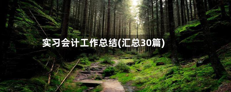 实习会计工作总结(汇总30篇)