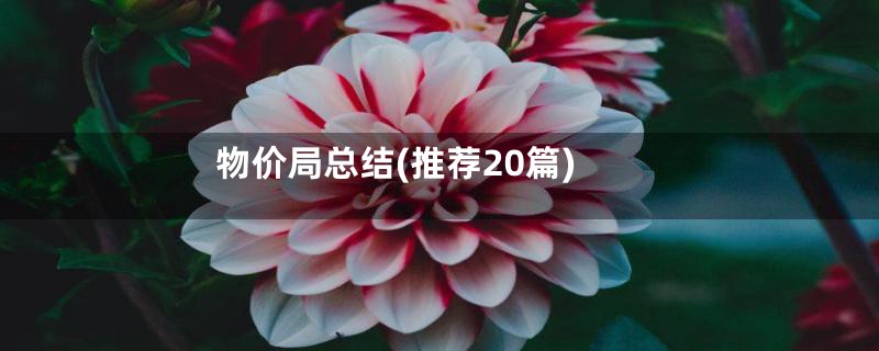 物价局总结(推荐20篇)