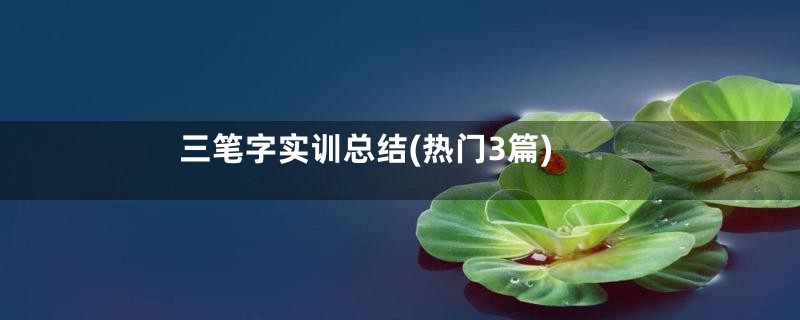 三笔字实训总结(热门3篇)