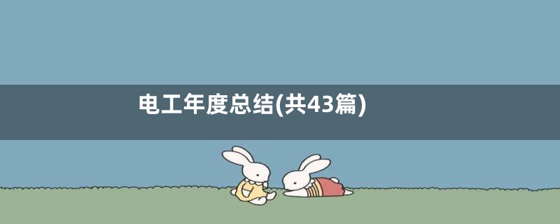 电工年度总结(共43篇)