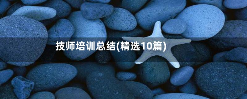 技师培训总结(精选10篇)