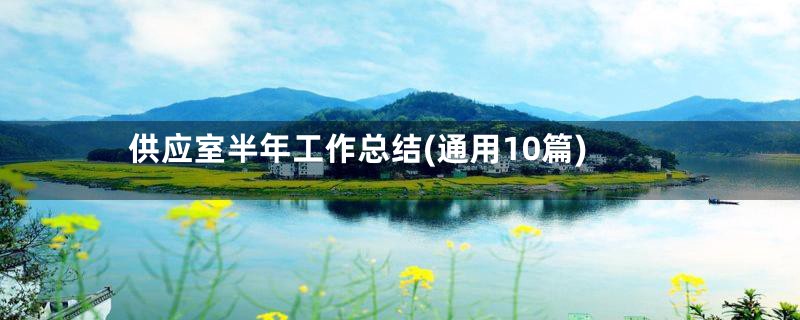供应室半年工作总结(通用10篇)